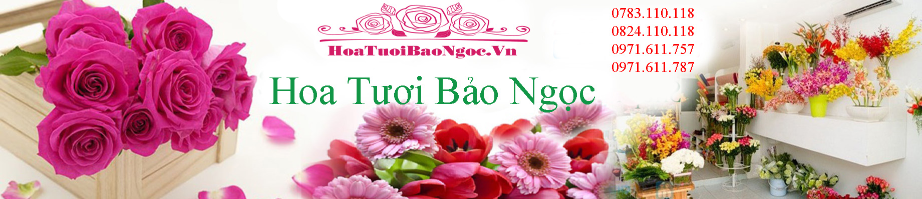 Hoa tươi thành phố Thuận An