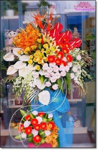 Giao hoa tươi ở xã Bạch Hạ huyện Phú Xuyên Hà Nội
