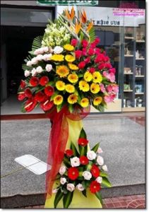Miễn phí giao hoa tươi phường Long Phước Quận 9