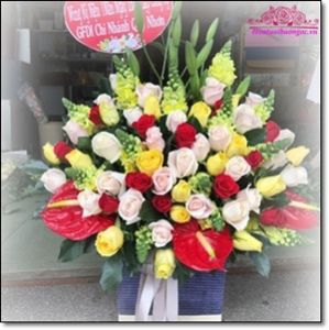 Miễn phí ship hoa tươi đường Dương Quảng Hàm quận Gò Vấp