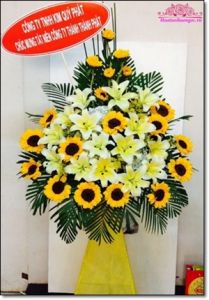 Miễn phí giao hoa tươi tại quận Ninh Kiều thành phố Cần Thơ